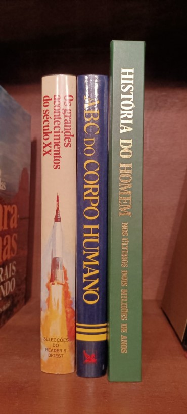 Lote de livros diverso 