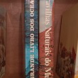 Lote de livros diverso 