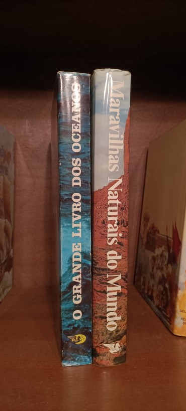 Lote de livros diverso 
