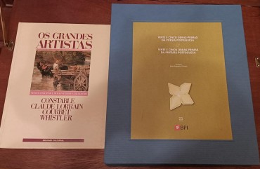 Lote de livros diverso 