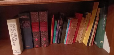 Lote de livros diverso 