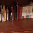 Lote de livros diverso 