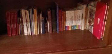 Lote de livros diverso 