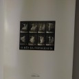 O MÊS DA FOTOGRAFIA
