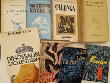 LITERATURA E POESIA PORTUGUESA 