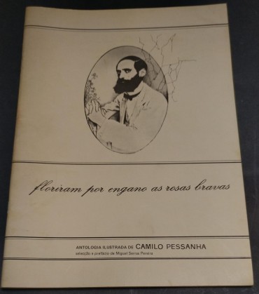 FLORIRAM POR ENGANO AS ROSAS BRAVAS