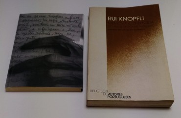 RUI KNOPFLI - 2 PUBLICAÇÕES