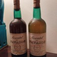 Moscatel de Favaios (2)