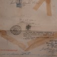 Conjunto de Cinco Três(3) Títulos de Acções 