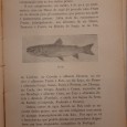 Pesca Desportiva na Agua Doce