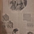 Folhas soltas da revista francesa Le Modes de La Saison
