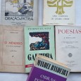 POESIA E LITERATURA 