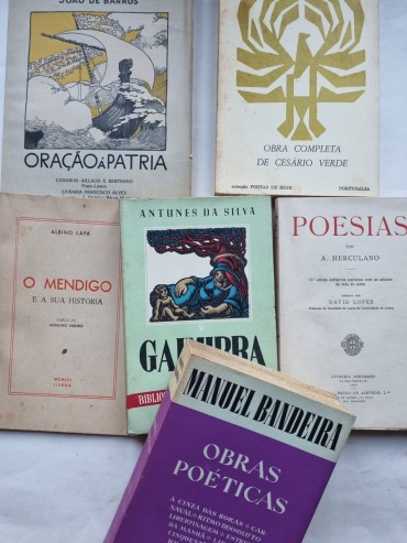 POESIA E LITERATURA 