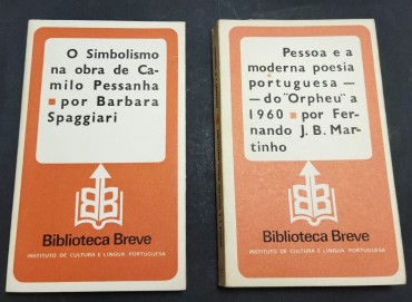 2 PUBLICAÇÕES