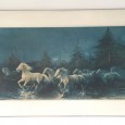 Cavalos