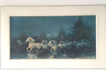 Cavalos