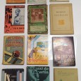 LOTE DE LIVROS DIVERSOS