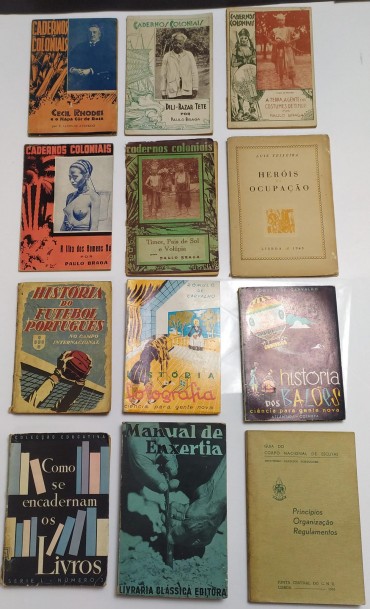 LOTE DE LIVROS DIVERSOS