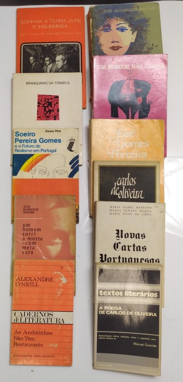 LOTE DE LIVROS DIVERSOS