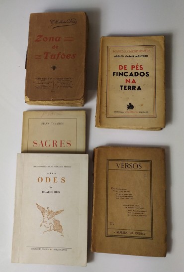 LOTE DE LIVROS DIVERSOS