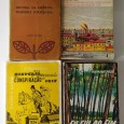 LOTE DE LIVROS DIVERSOS