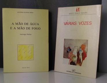 LITERATURA - 2 PUBLICAÇÕES