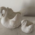 Dois cisnes 