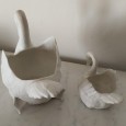 Dois cisnes 