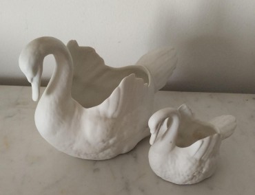 Dois cisnes 