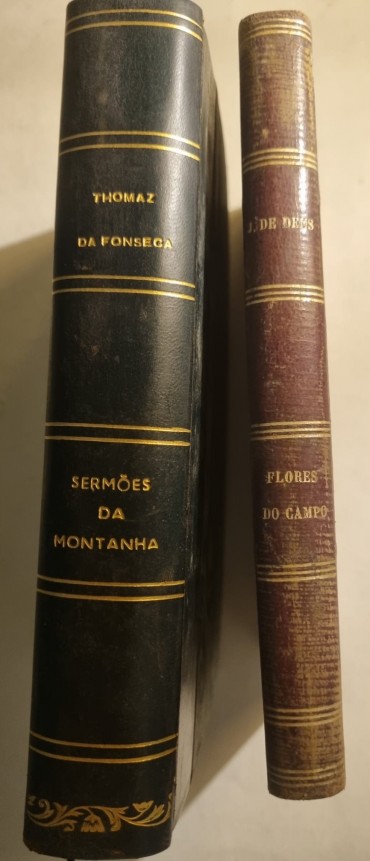 LITERATURA E POESIA PORTUGUESA