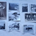 FOTOGRAFIAS