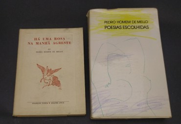 2 PUBLICAÇÕES - PEDRO HOMEM DE MELLO
