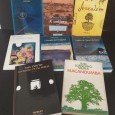 Lote de livros diverso 