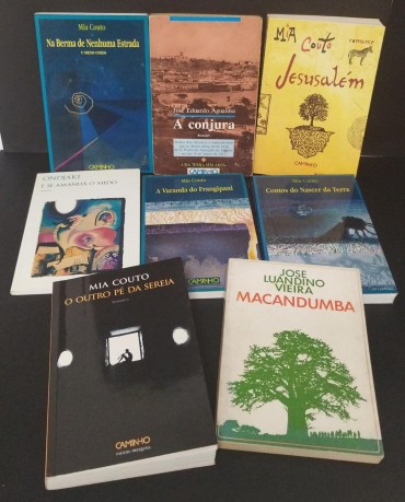 Lote de livros diverso 