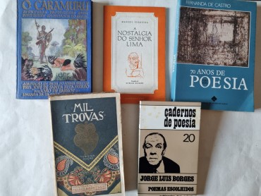 POESIA E LITERATURA PORTUGUESA 