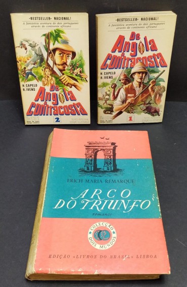 Lote de livros diverso