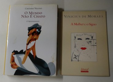 2 PUBLICAÇÕES