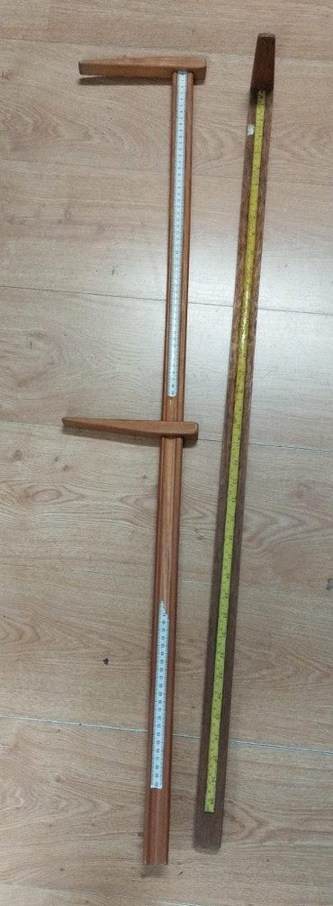 Duas Réguas antropométricas pediátricas Vintage