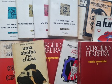 LITERATURA E POESIA