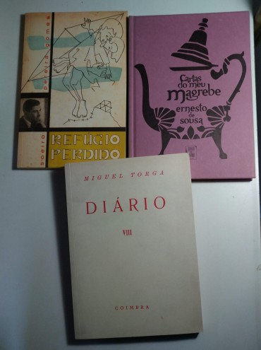 3 PUBLICAÇÕES