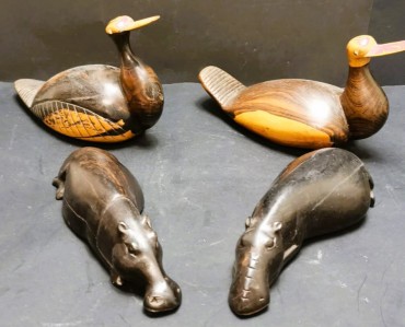 Patos e rinocerontes
