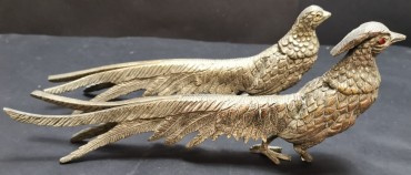 Aves