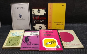 LOTE DIVERSO DE LIVROS