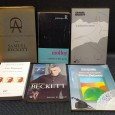 LOTE DIVERSO DE LIVROS