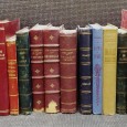 LOTE DIVERSO DE LIVROS