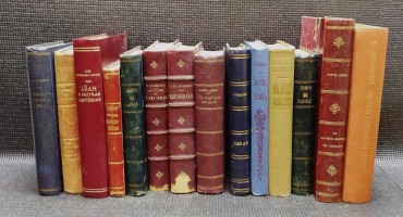 LOTE DIVERSO DE LIVROS