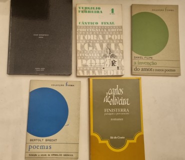 LITERATURA E POESIA 