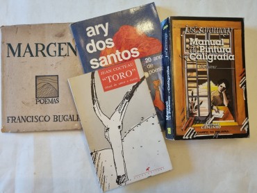 LITERATURA E POESIA 
