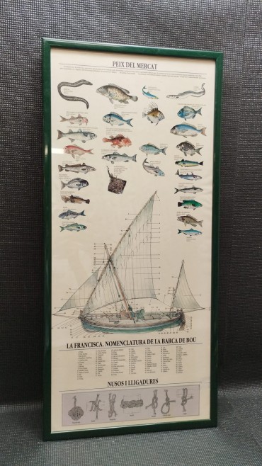«Peix del Mercat»