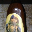 BAGACEIRA ESPECIAL TREZE